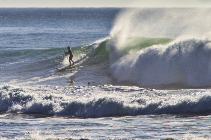 Dana McGreagor Dana McGreagor